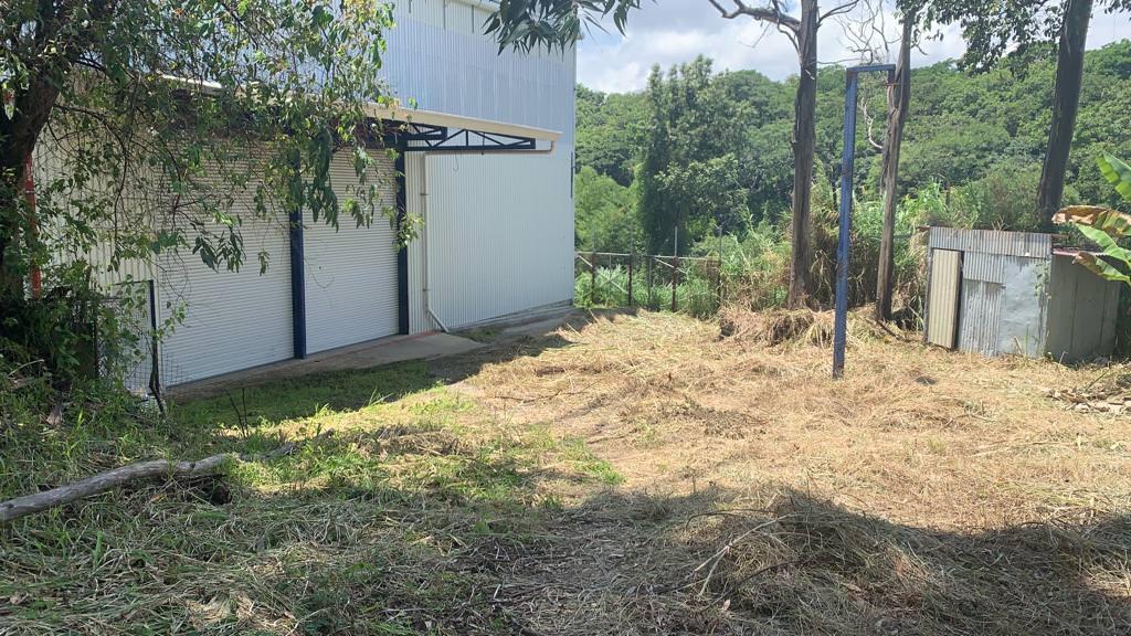 warehouse commercial complex available for lease or sale in heredia view 006.jpeg
