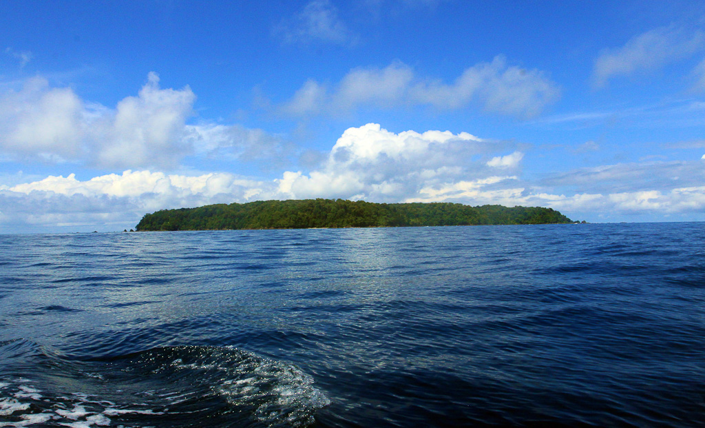 dominical surf dive snorkel cano island 2.jpg