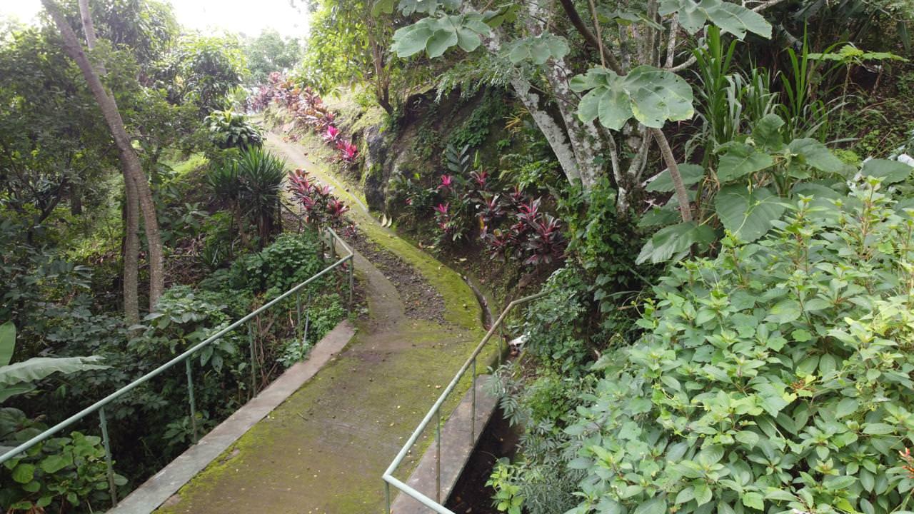 land with structures for wildlife rescue center in santa ana view 023.jpeg