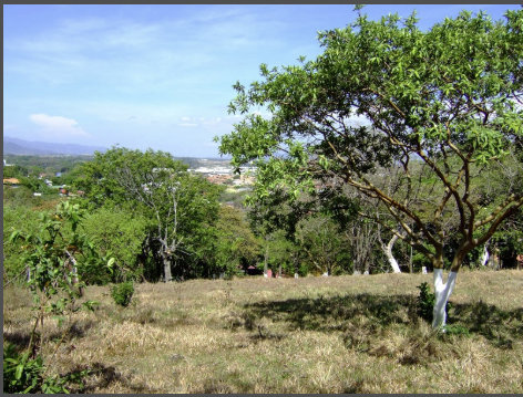 small farm in escazu for residentail development view 002.png