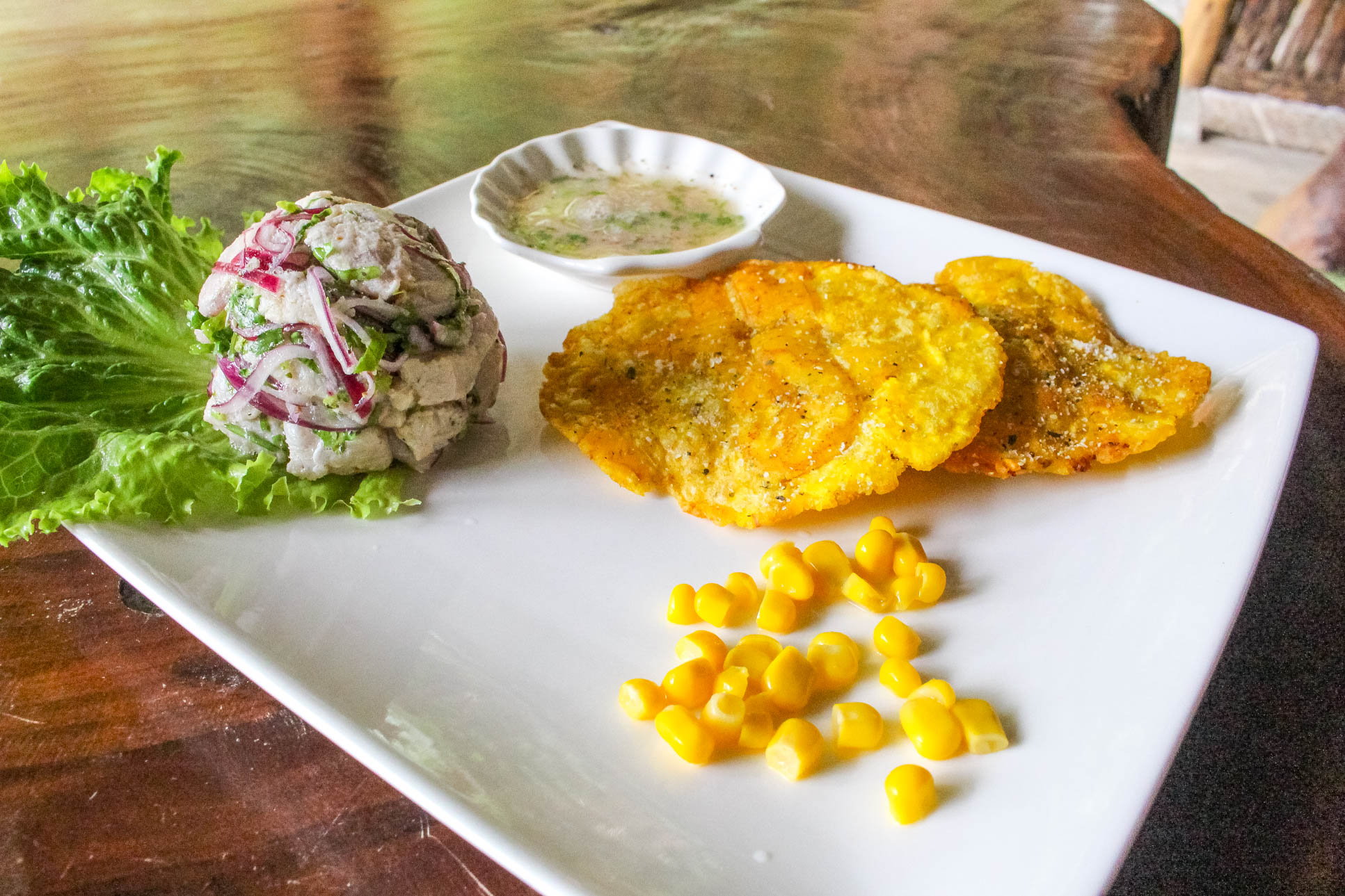 Peruvian Ceviche Casa El Tortugo