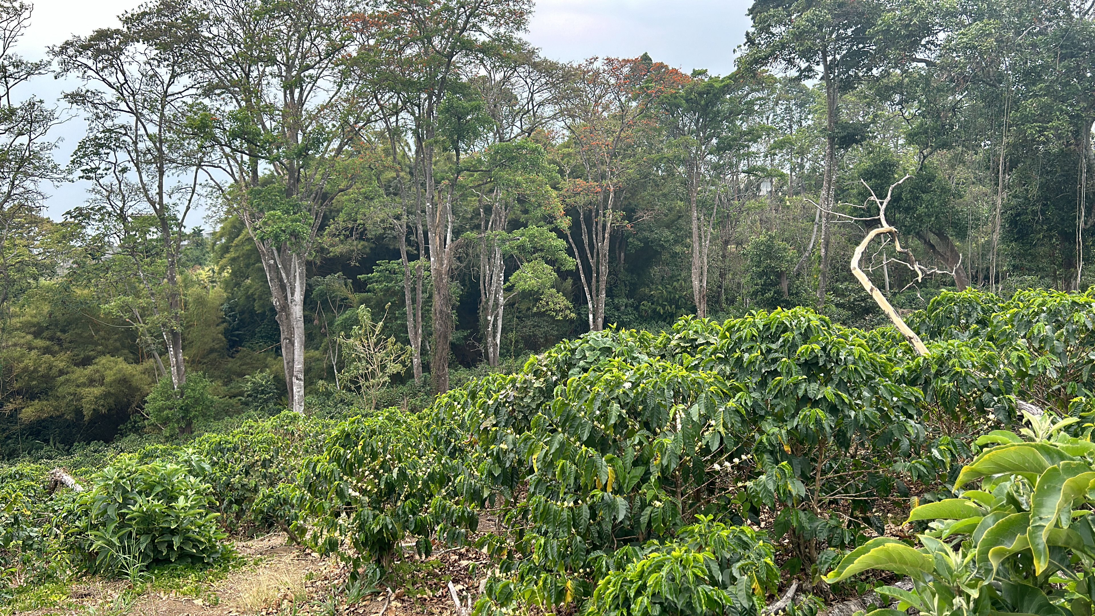 cul de sac residential development lot view 022.jpg