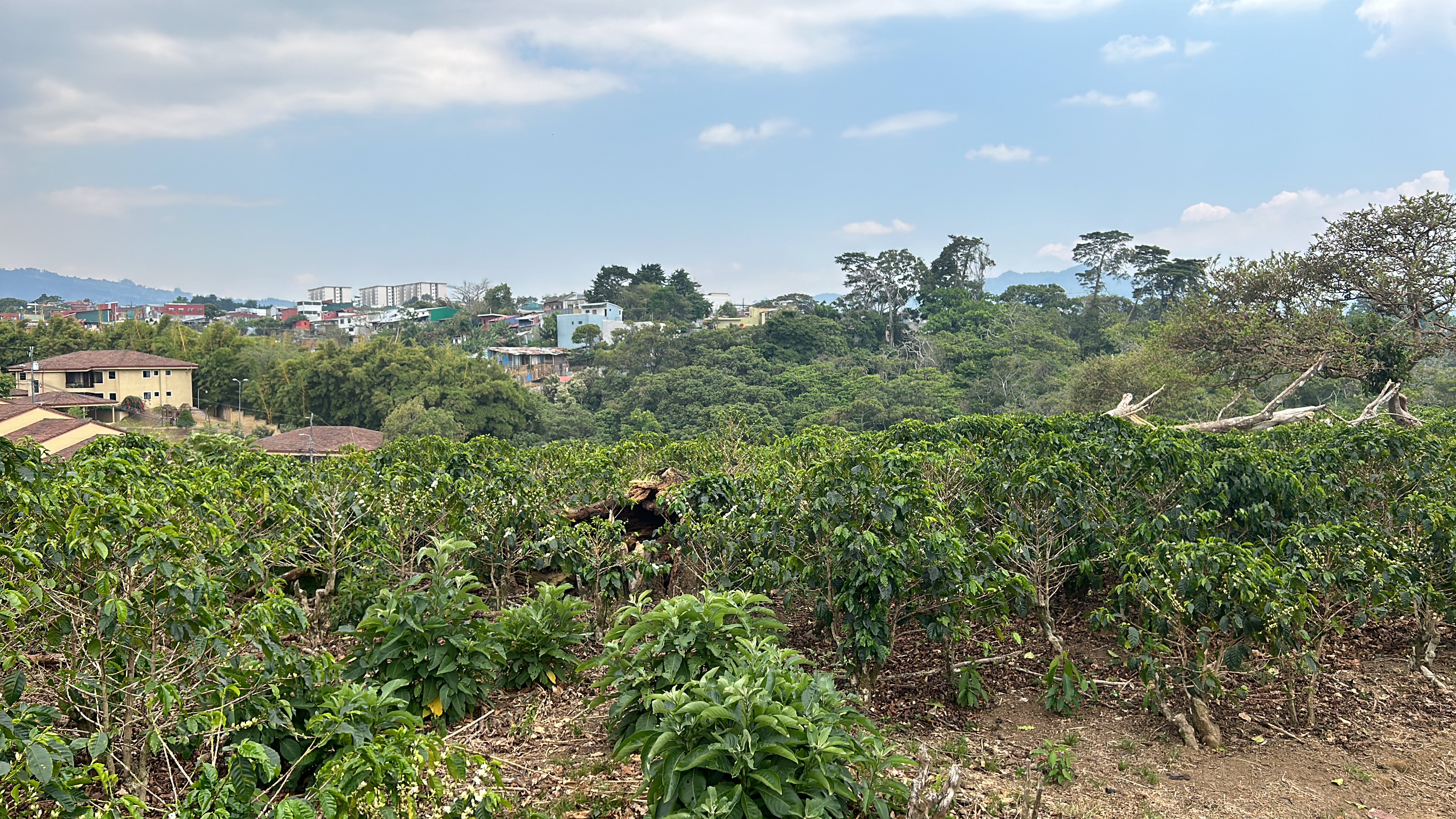 cul de sac residential development lot view 009.jpg