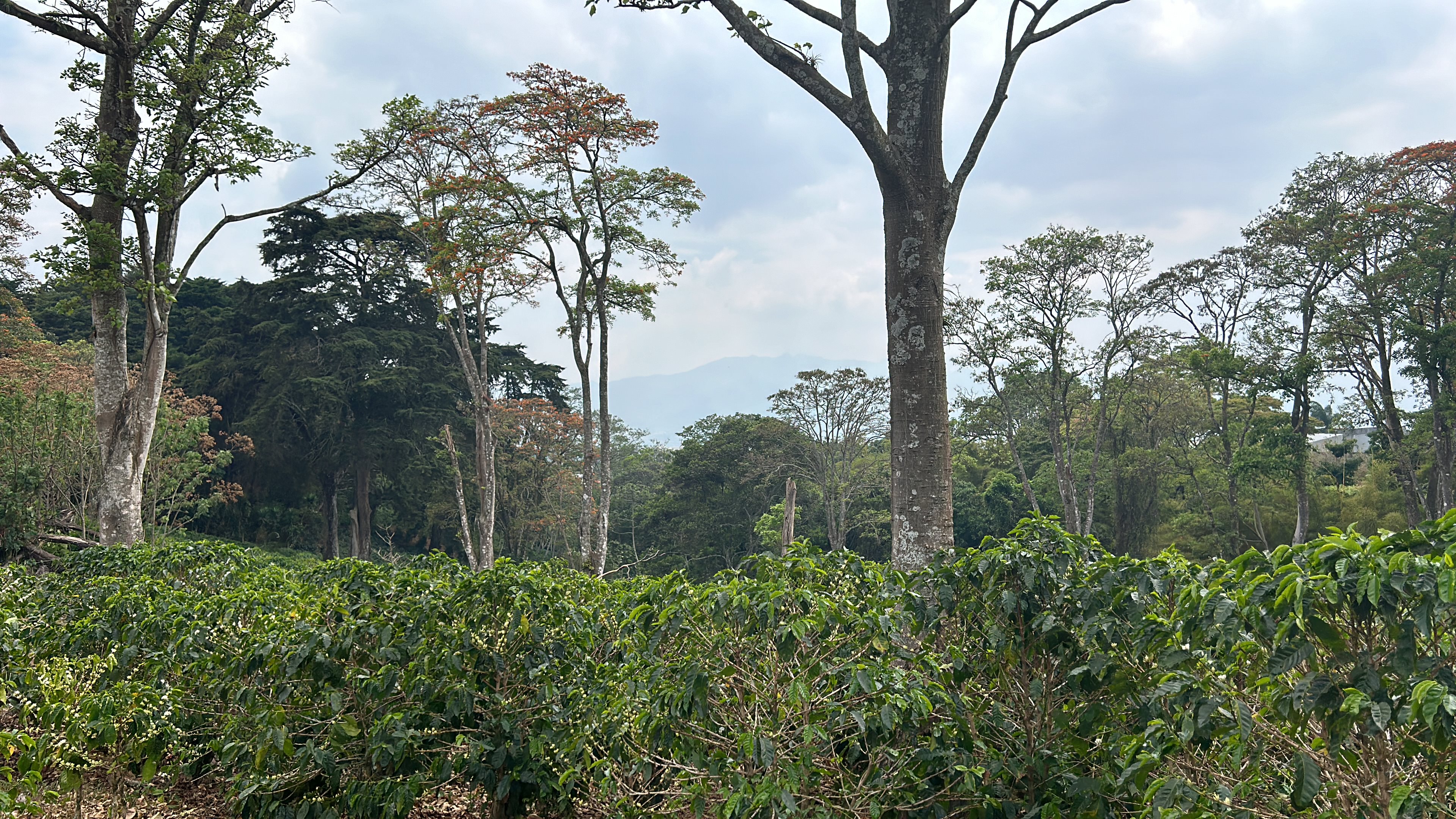 cul de sac residential development lot view 018.jpg