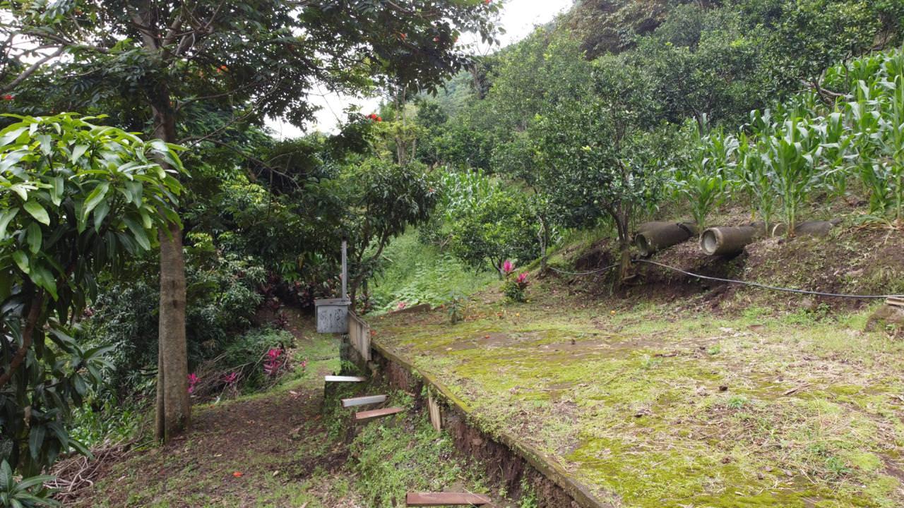 land with structures for wildlife rescue center in santa ana view 022.jpeg