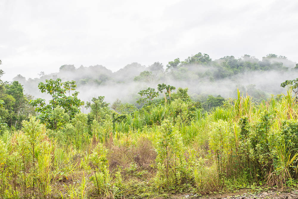 Mountain Ridge Of Los Patos Ranger Station
