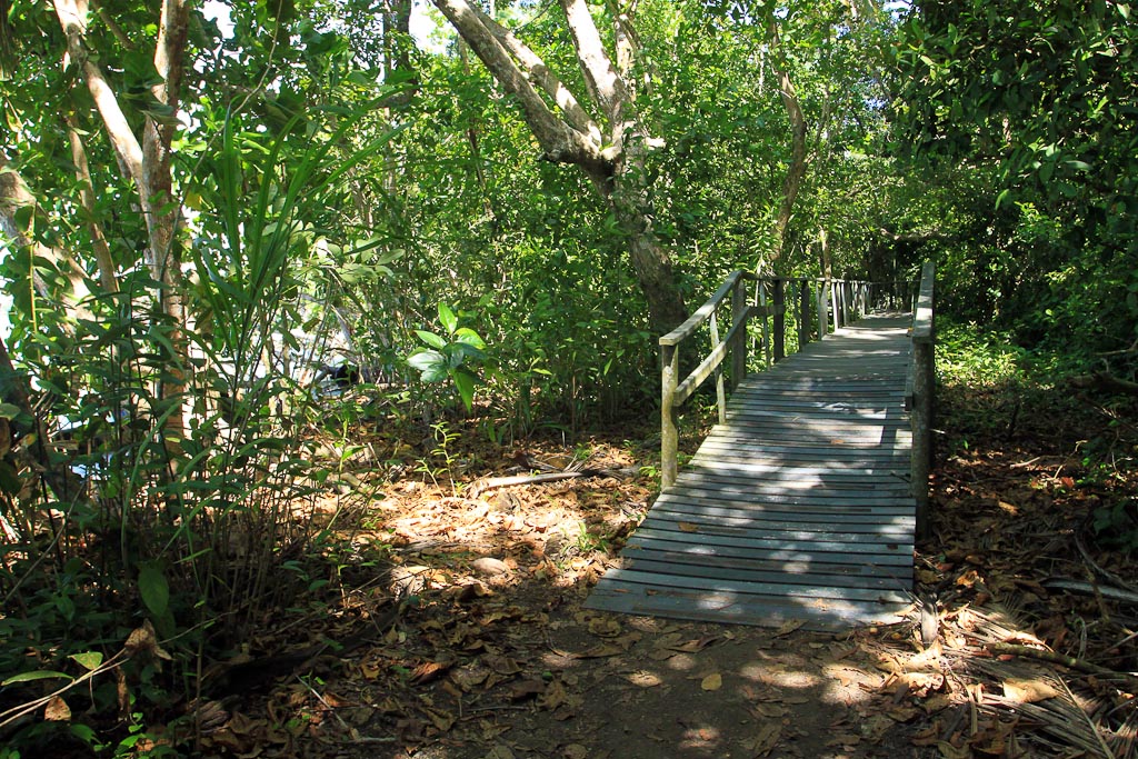 cahuita national park snorkeling hiking tour marsh bridge 3.jpg