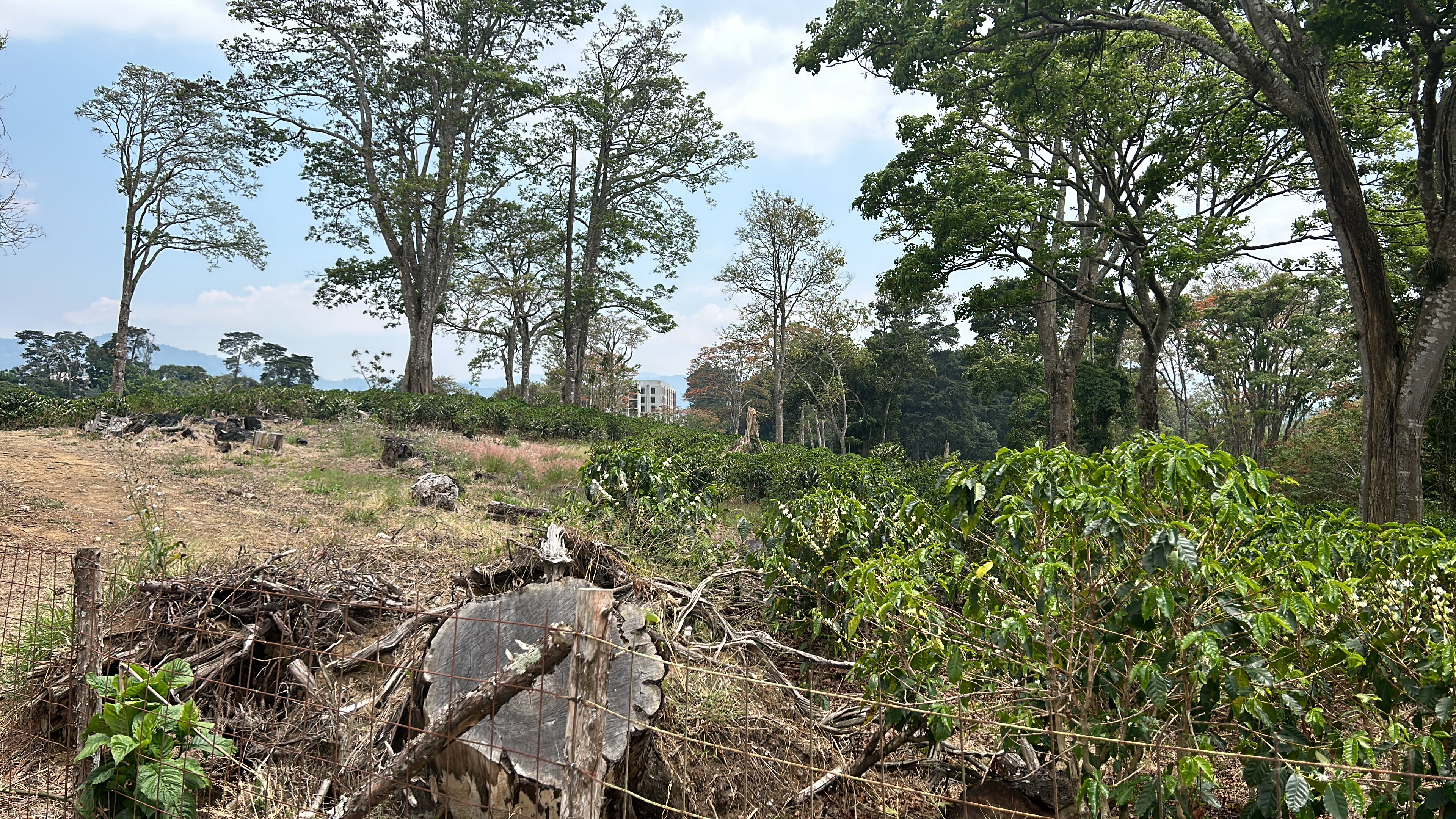 cul de sac residential development lot view 017.jpg