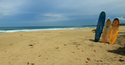 More Caribbean