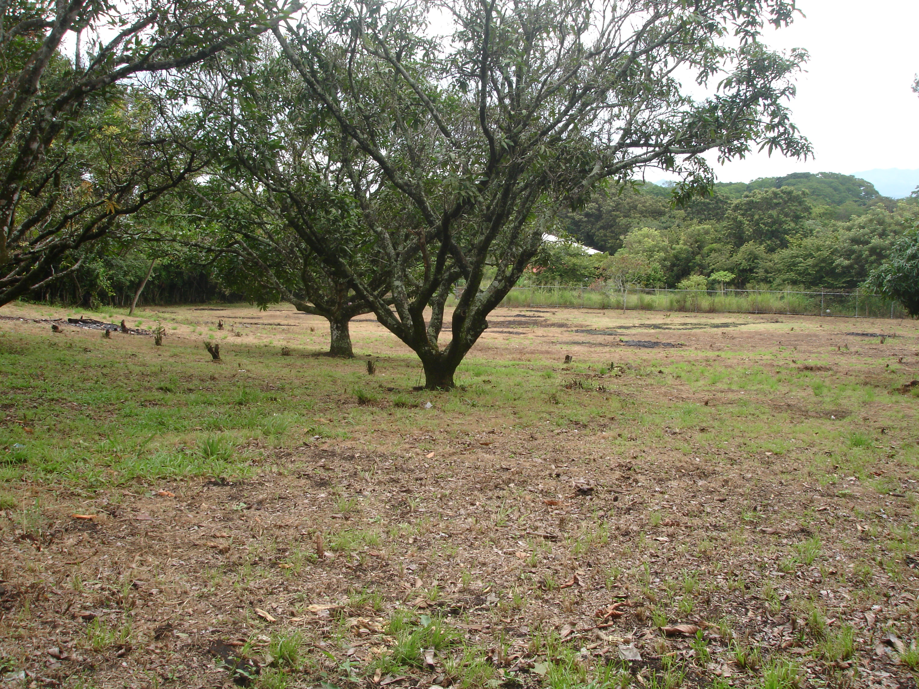 land for commercial or industrial development in alajuela view 006.jpg