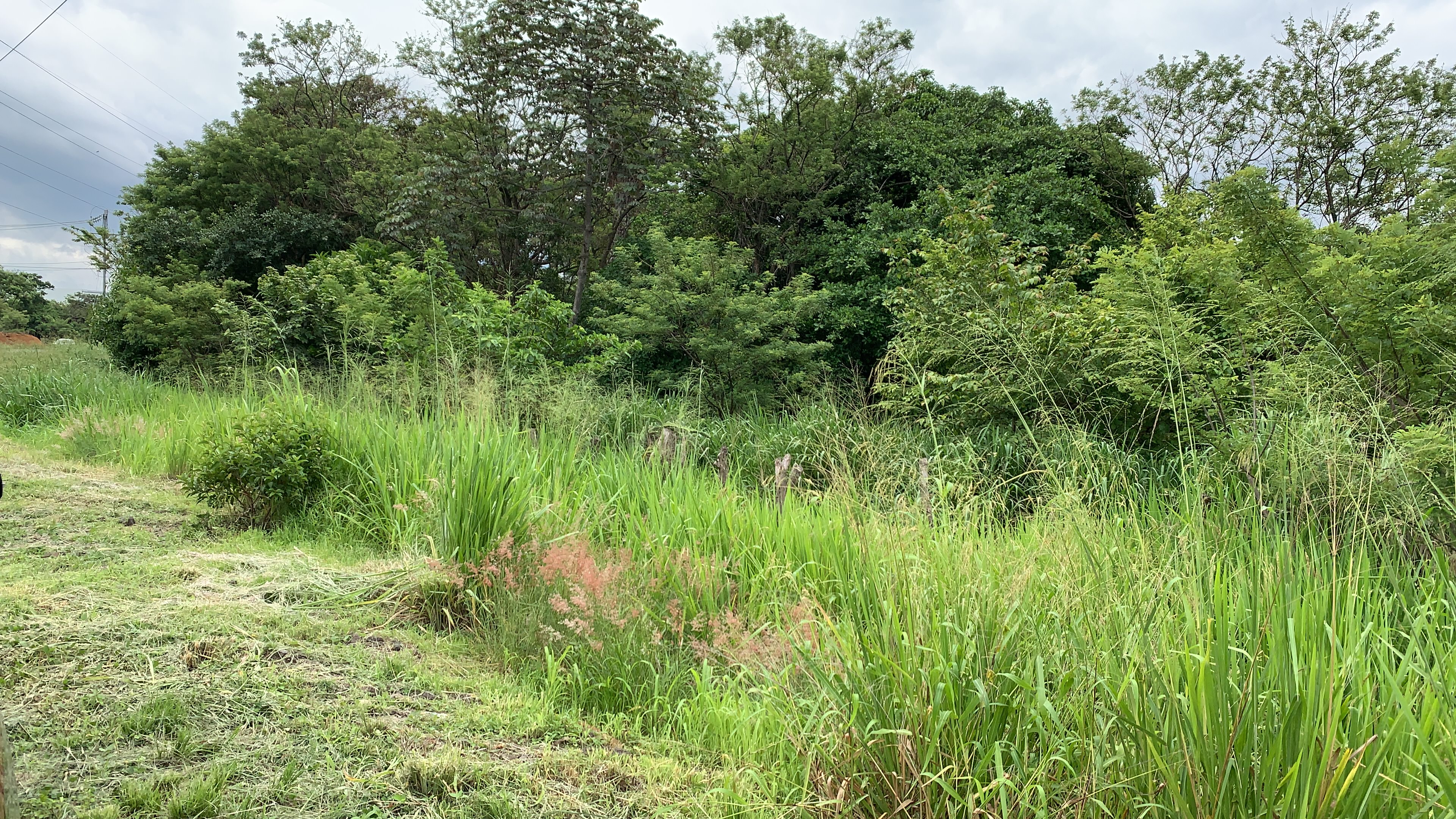 prairie land for creative development view 006.jpg