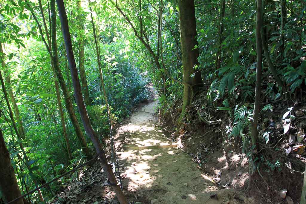 Extremos zipline hiking trail view