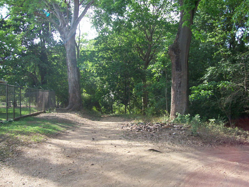 land for development near the beach in guanacaste view 002.jpg