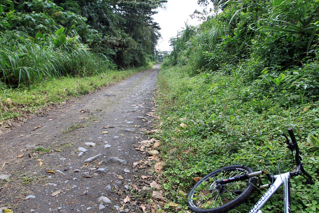 arenal mountain bike 3.jpg