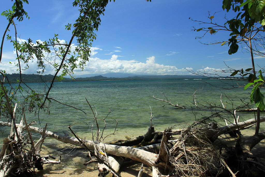 cahuita national park snorkeling hiking tour coast 2.jpg