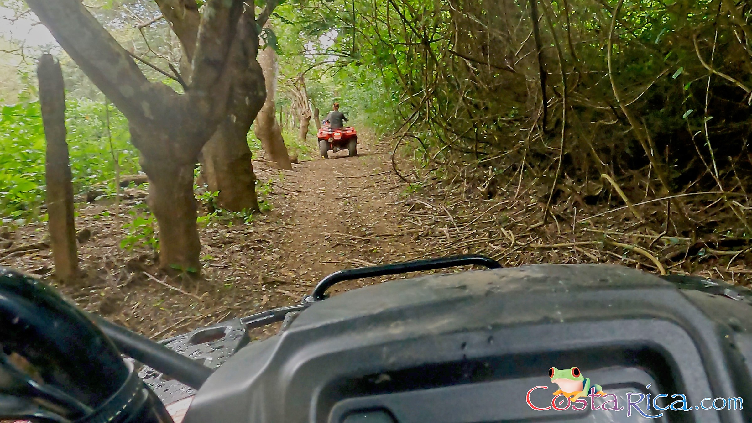 atv nosara tour fenced trail with low tree branches.jpg