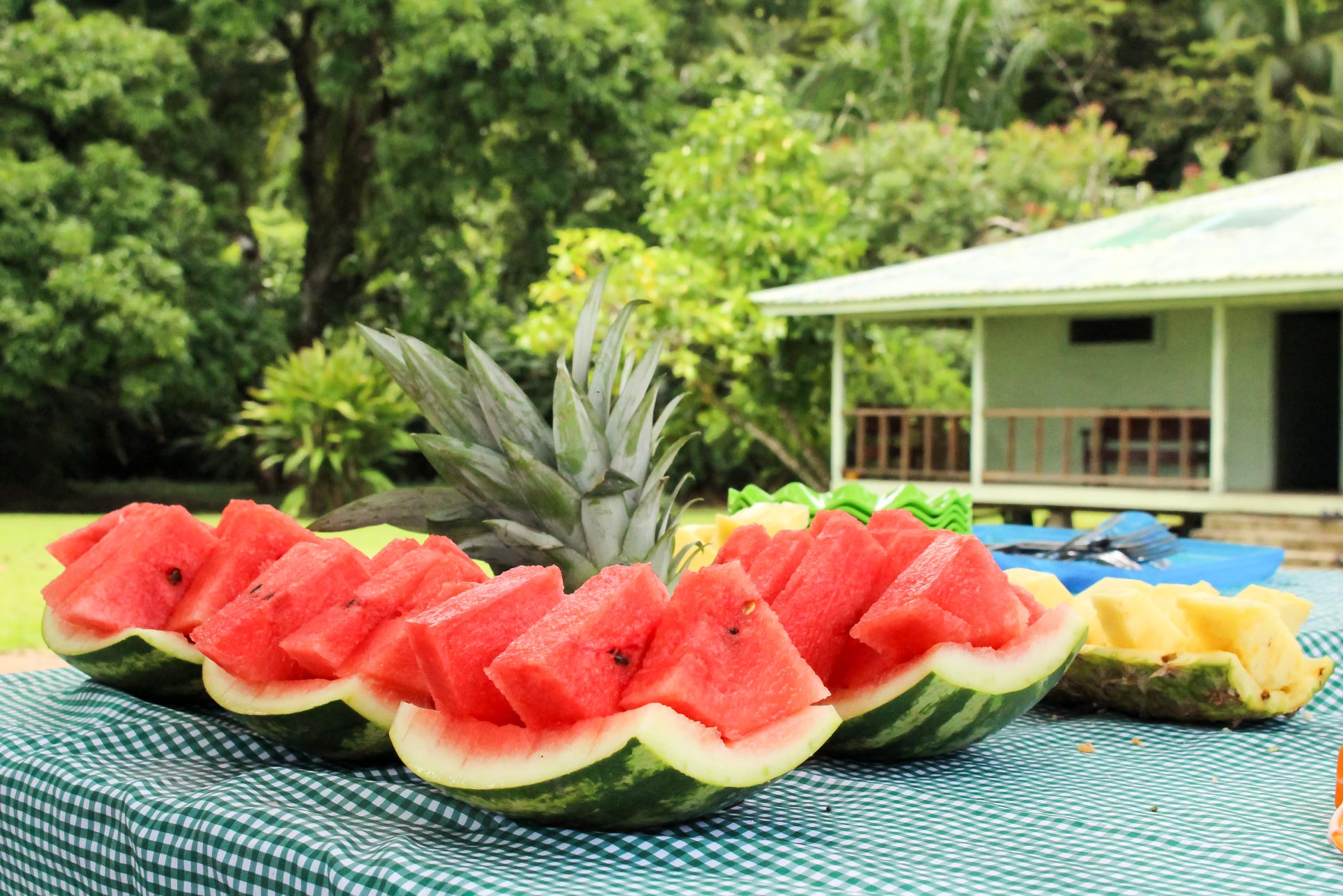 Watermelon San Pedrillo Ranger Station Corcovado National Park
