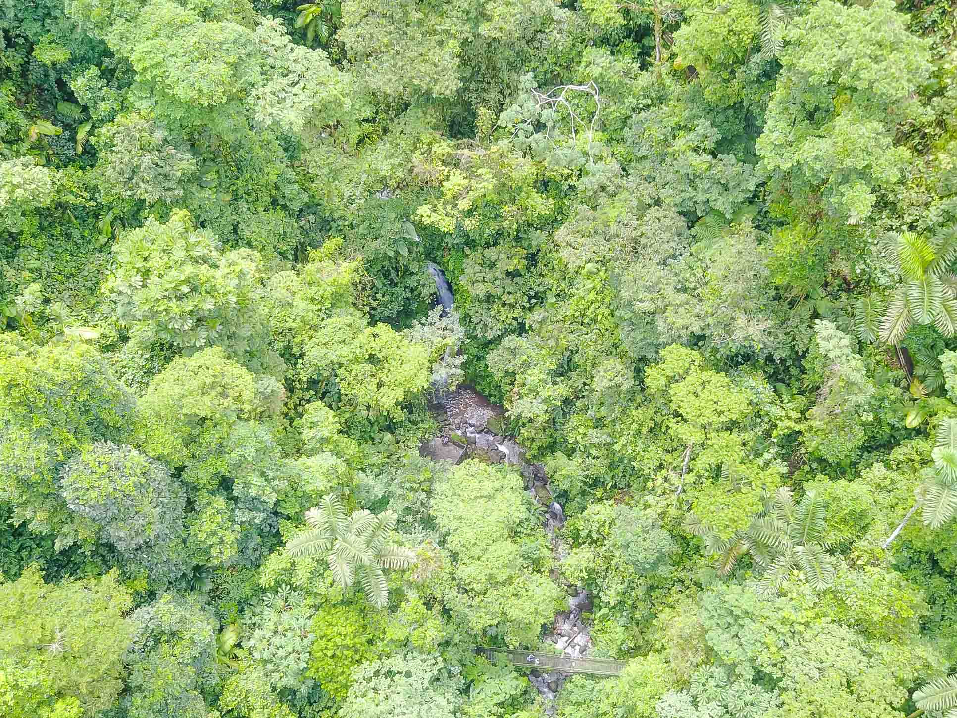 Creek Aerial View Inside Arenal Hanging Bridges Mistico Park