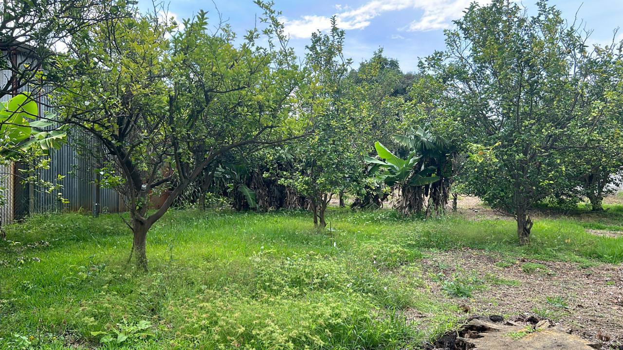 lot for development in the town of moravia view 009.jpeg