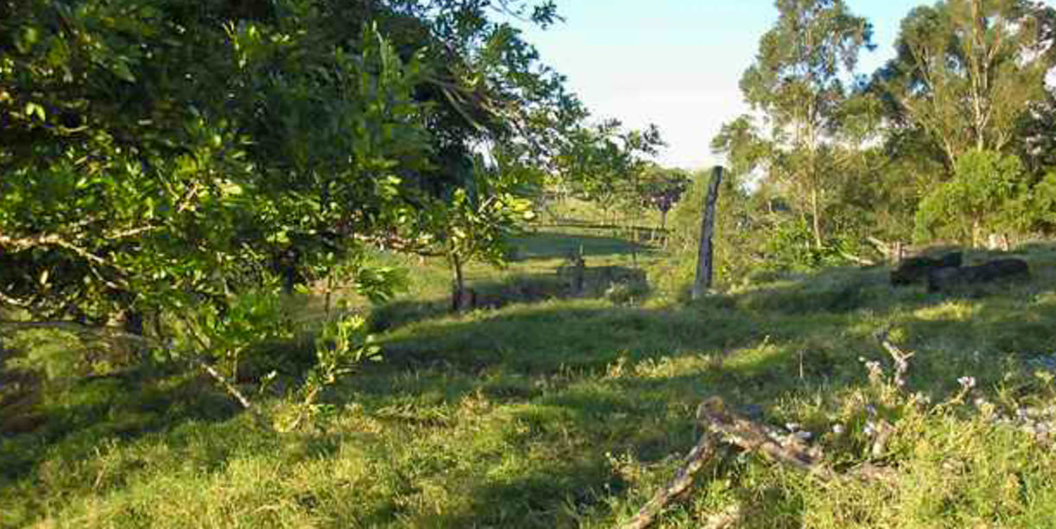 parcel for urban development in the eastern side of san jose view 006.jpg