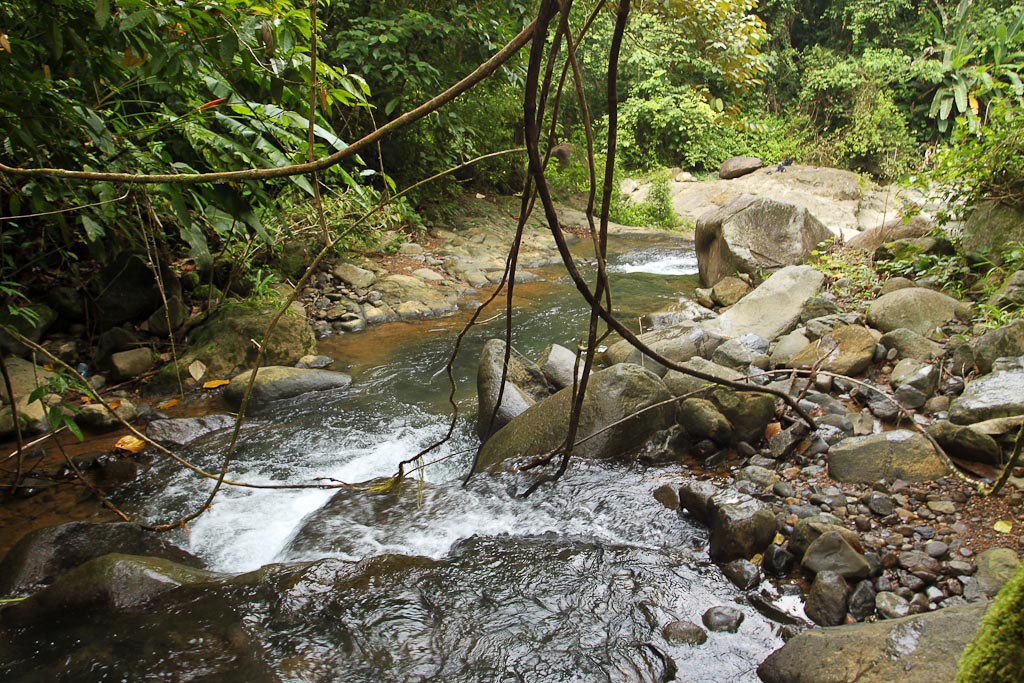 bamboo forest moutain bike tour river 8.jpg