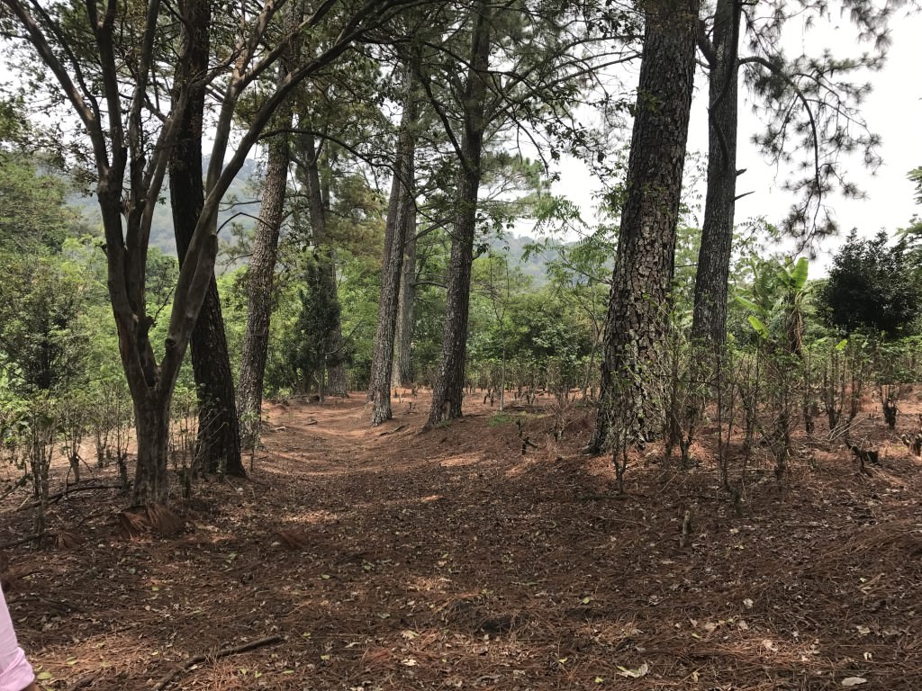 land for construction project in hacienda vieja view 012.jpg