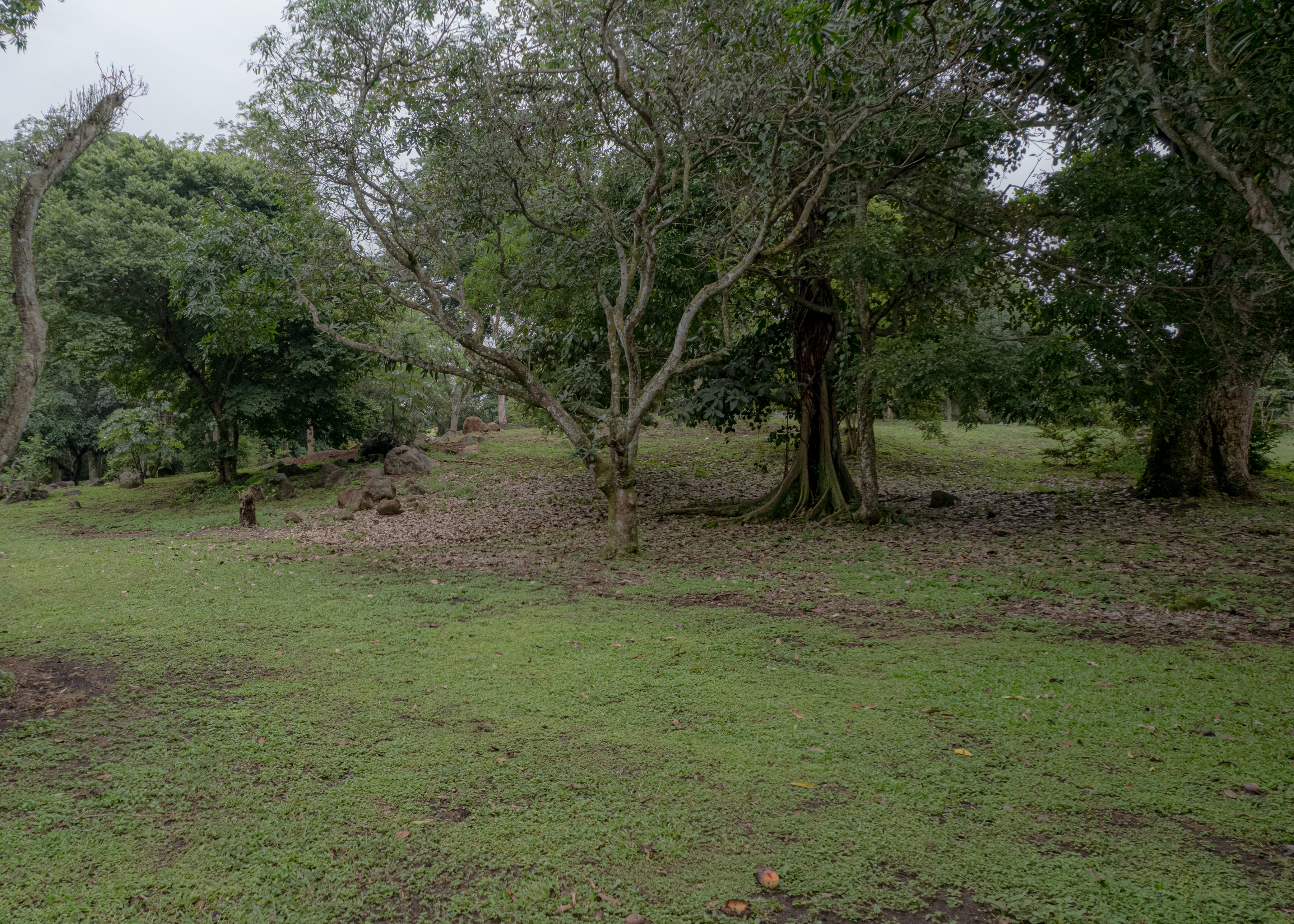 land for residential or industrial use near alajuela airport sjo view 009.jpg