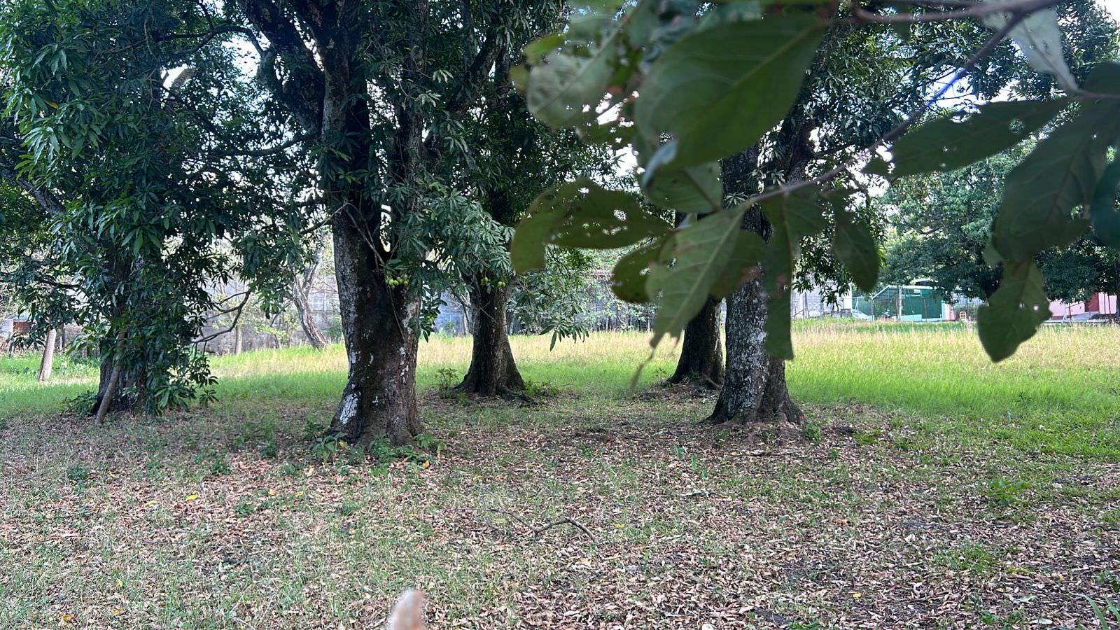 santa ana route 27 frontage 17 2 acre parcel buy one or all three parcel view 020.jpeg