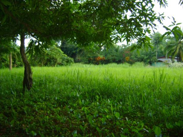 building parcel in alajuela city view 002.jpg