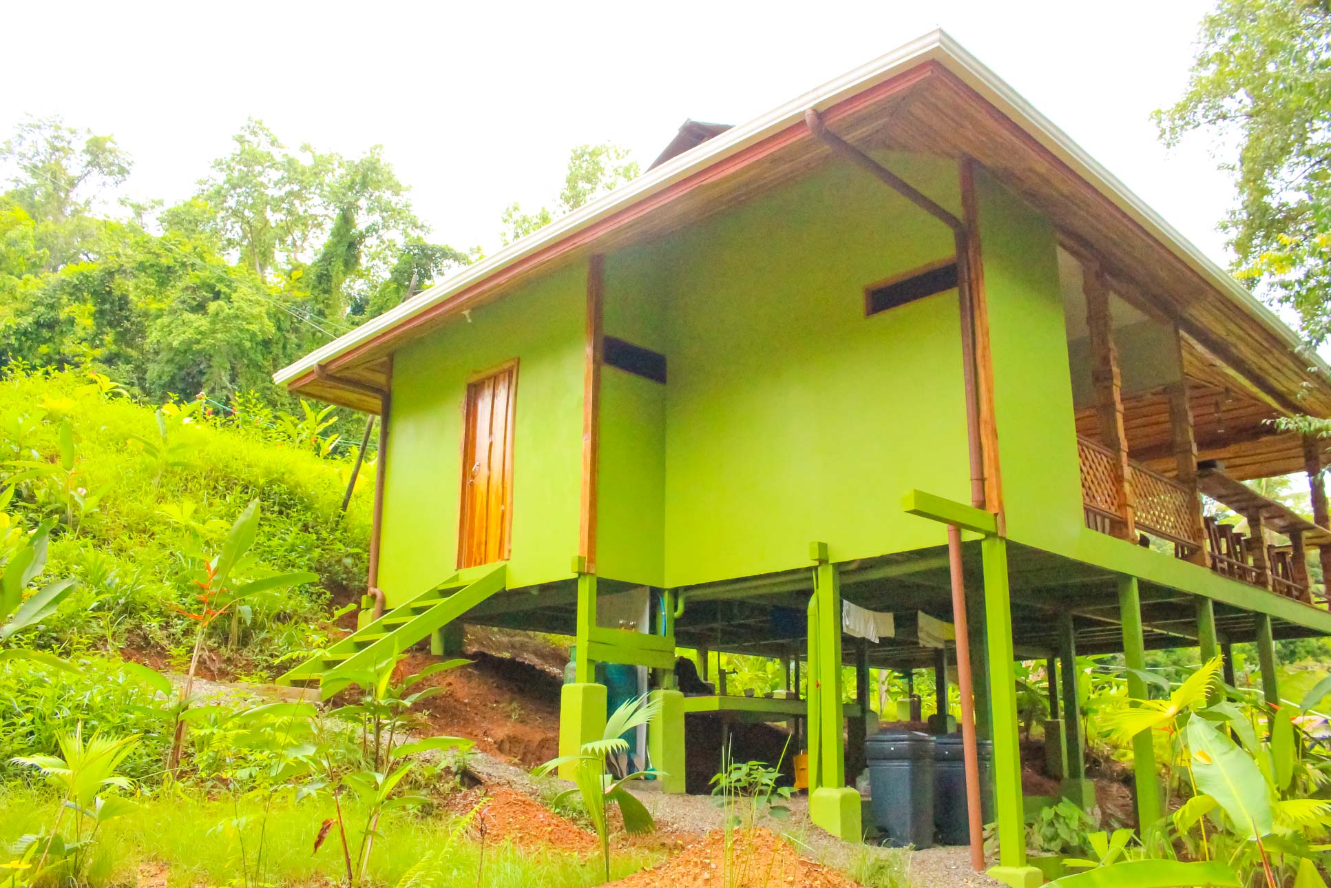 Drake Bay Cafe Back View