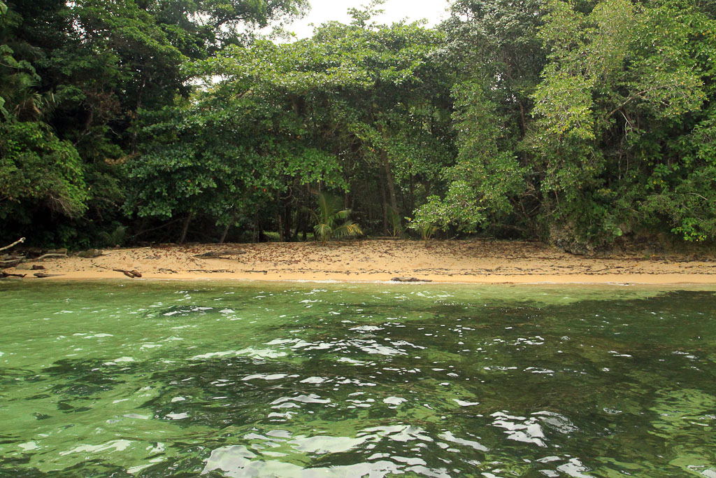 caribbean adventure snorkeling dolphin watching secluded beach 2.jpg