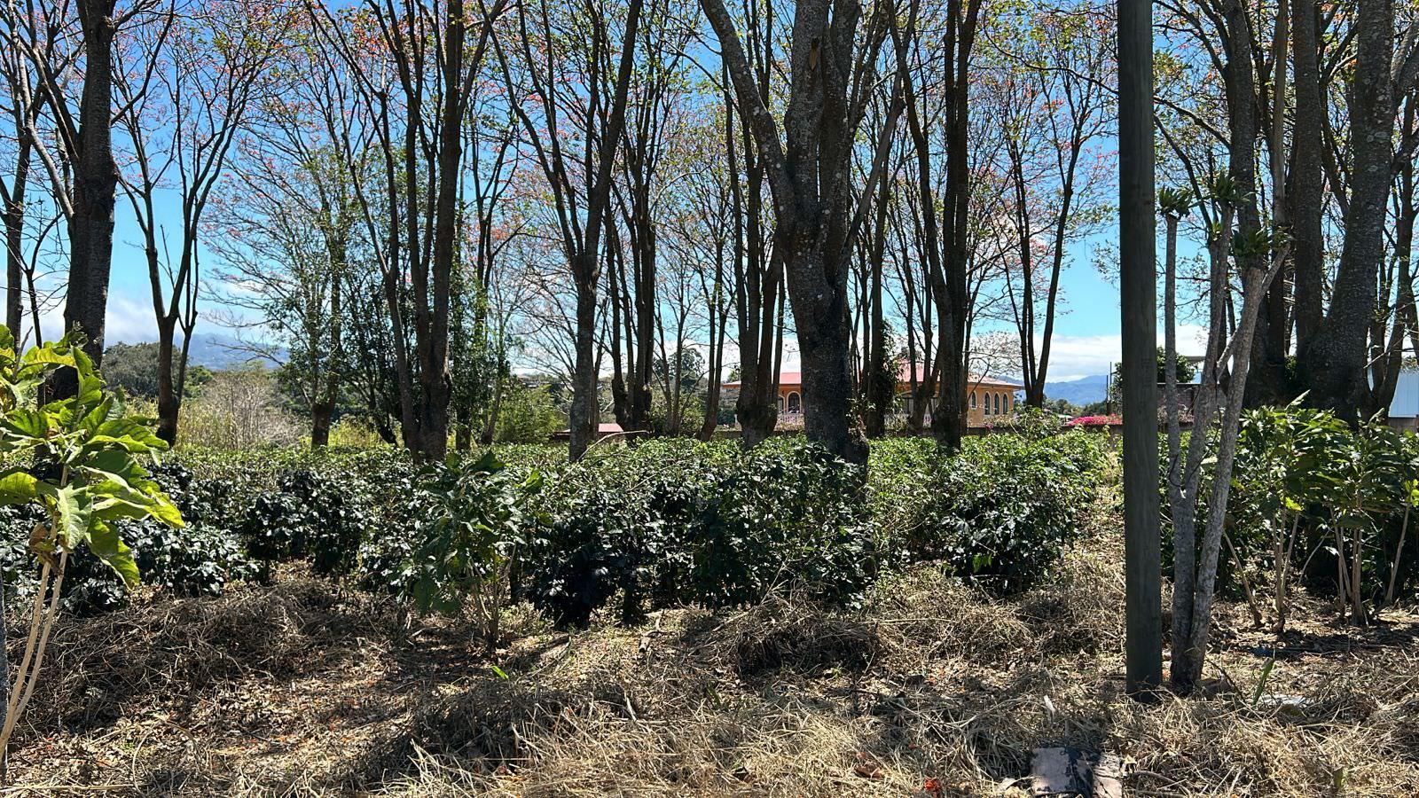 vacant lot under protected zone for development on route 32 san jose view 006.jpeg