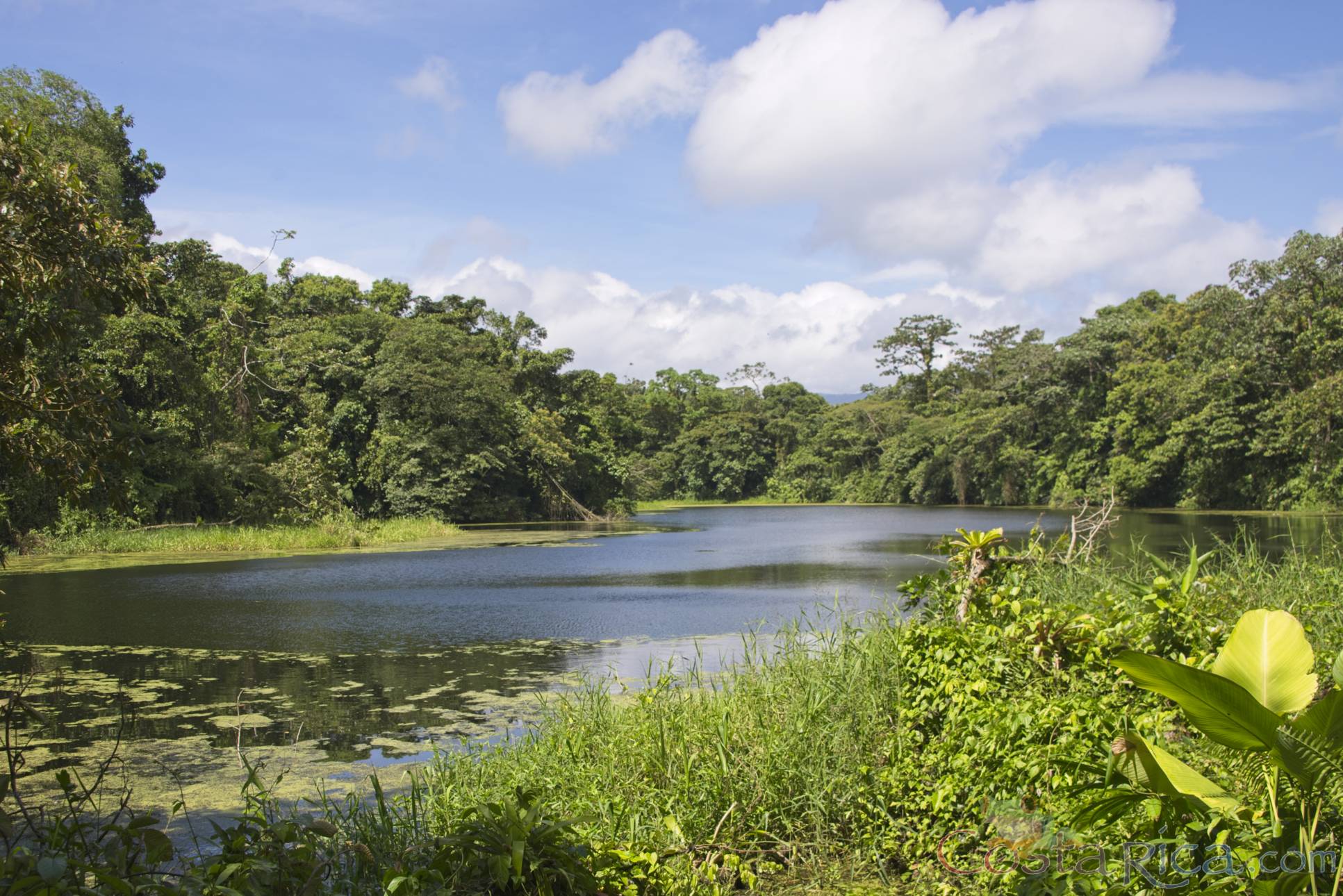 placid los patos lagoon eye level view at arenal volcano 1968 eruption site lookout point.jpg