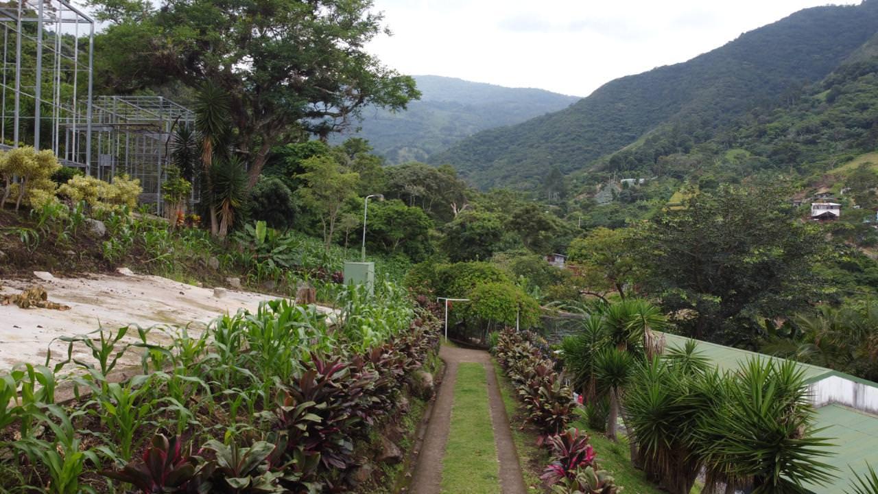 land with structures for wildlife rescue center in santa ana view 025.jpeg