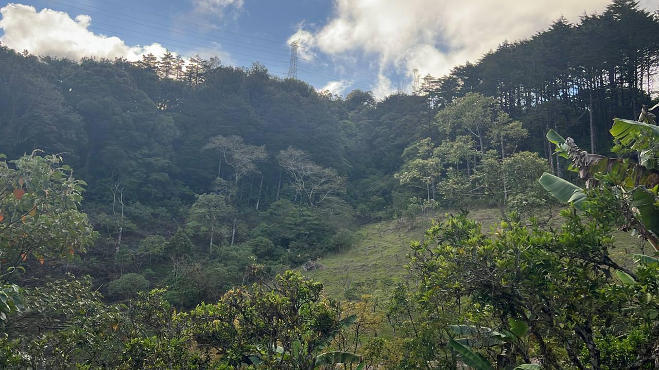 lots in the mountains of cartago for sale view 007.jpeg