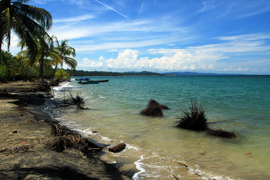 gandoca manzanillo wildlife refuge manzanillo coast 7.jpg
