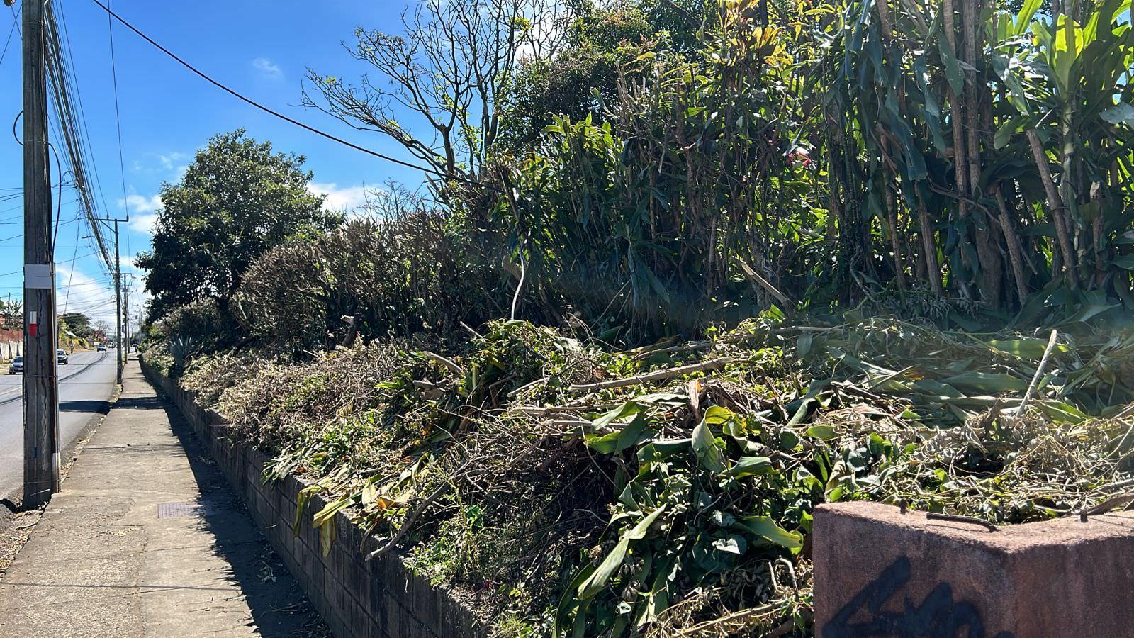 convert coffee farm into a mixed use development complex view 007.jpeg