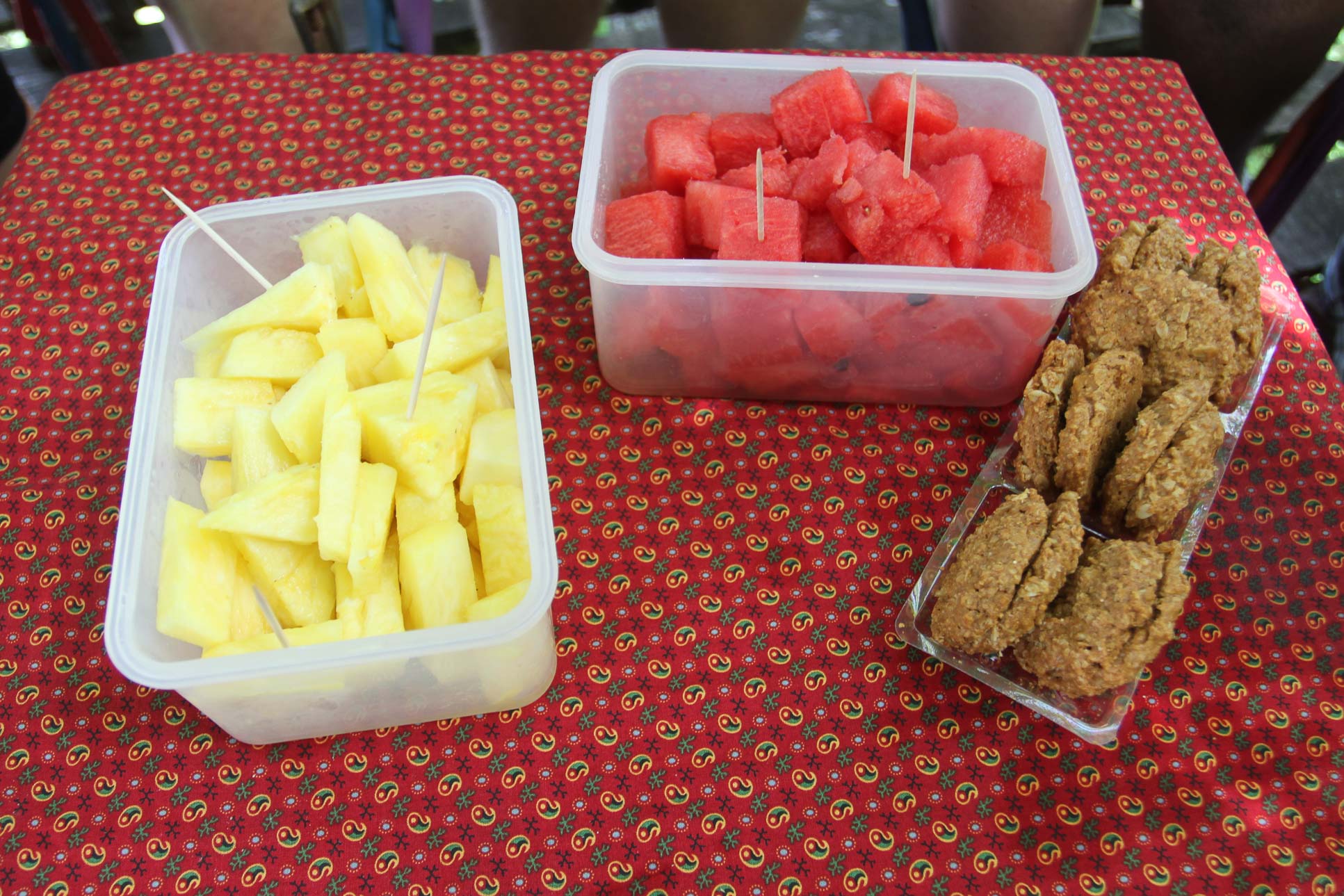 fruit and oatmeal cookies wingnuts tour 8.jpg