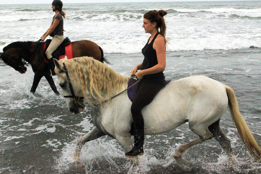 jungle beach horseback tour riding along the beach 6.jpg