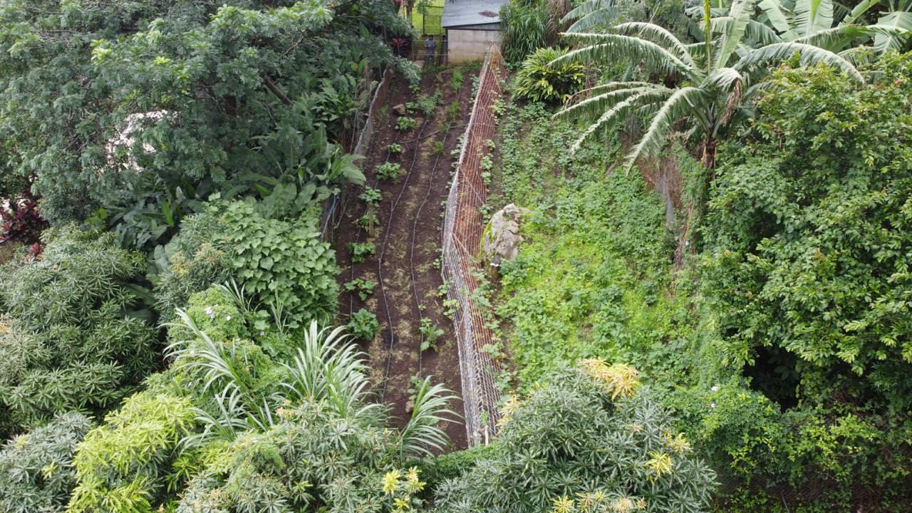 land with structures for wildlife rescue center in santa ana view 029.jpeg