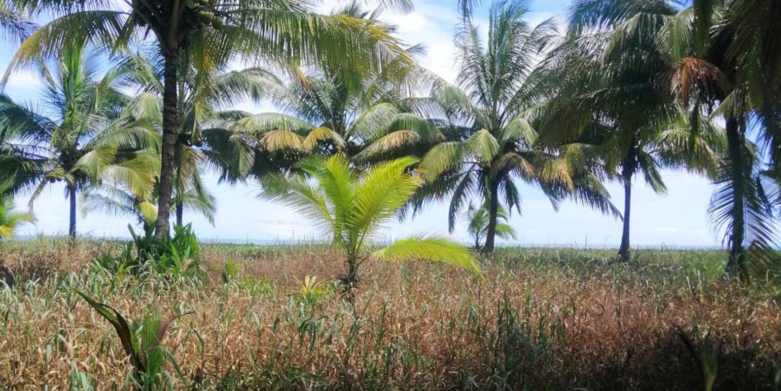 luxurious beachfront casino and resort community in the caribbean coast view 006.jpg