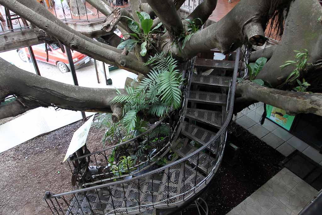 treehouse winding staircase 5.jpg