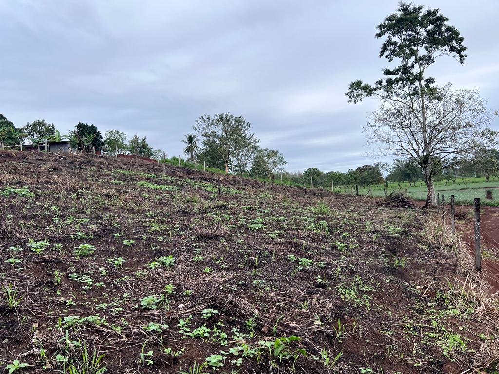 land for development 20 minutes from la fortuna view 002.jpeg