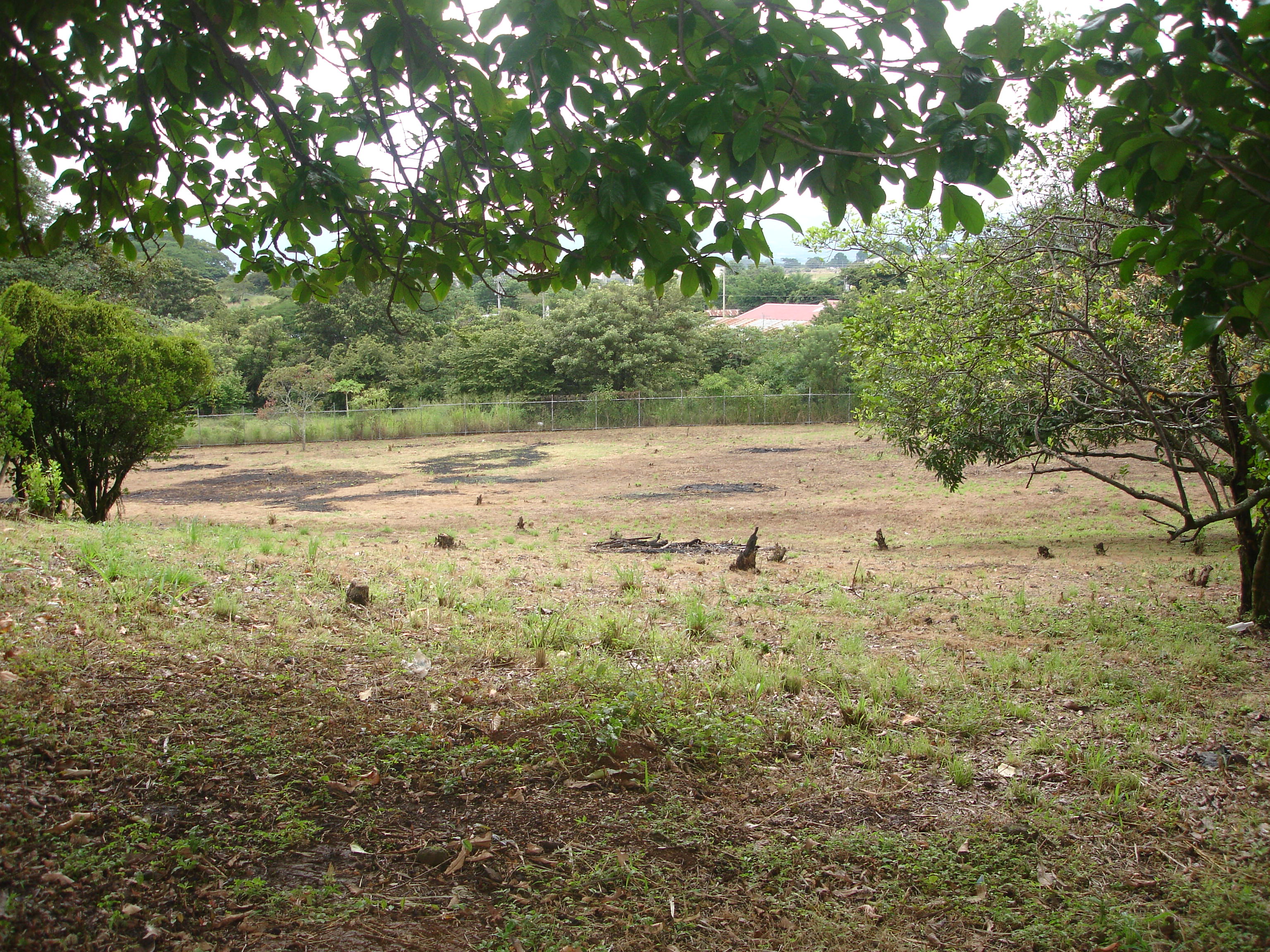 land for commercial or industrial development in alajuela view 002.jpg