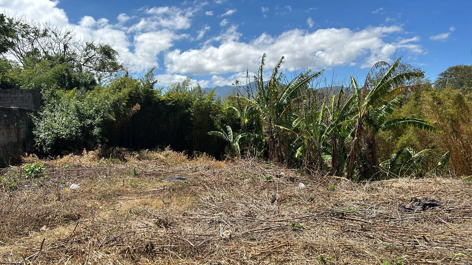 70 apartment low income family development in heredia view 003.jpeg