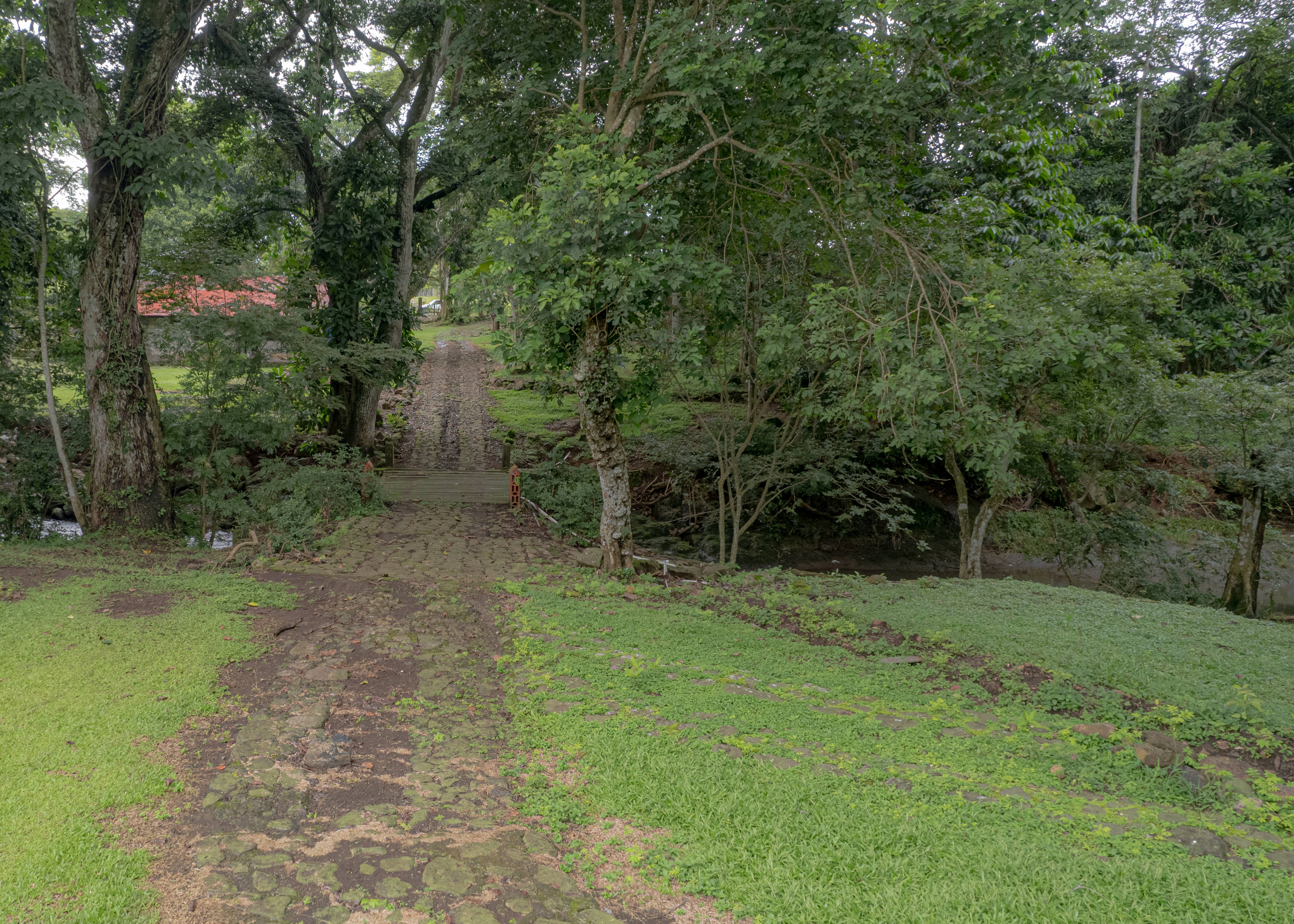 land for residential or industrial use near alajuela airport sjo view 006.jpg