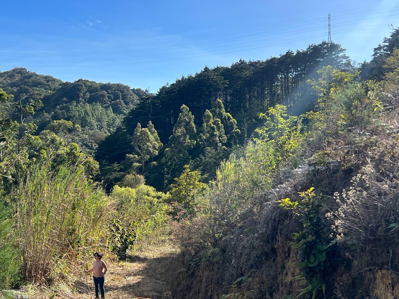 lots in the mountains of cartago for sale view 011.jpeg