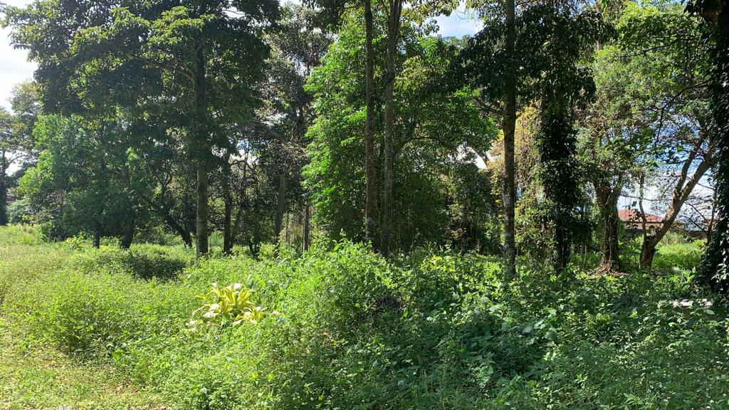 land for residential development in lomas de ayarco view 008.jpg