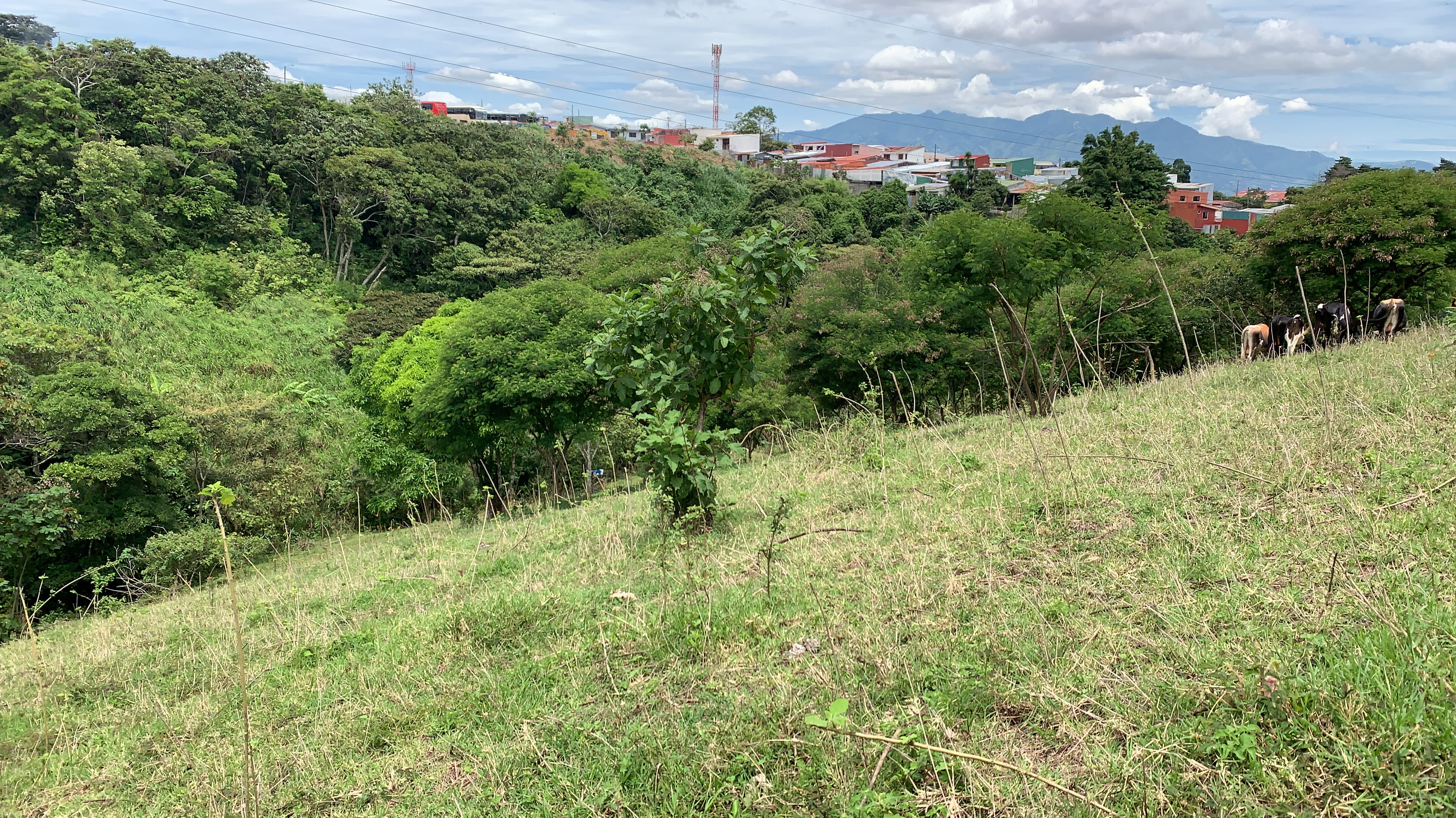 residential development site in guadalupe view 005.jpg