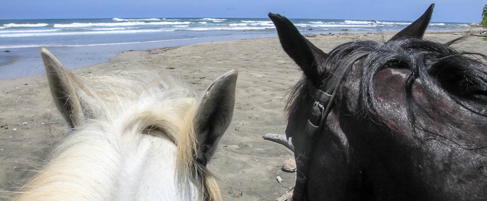 horses pelada beach1.jpg